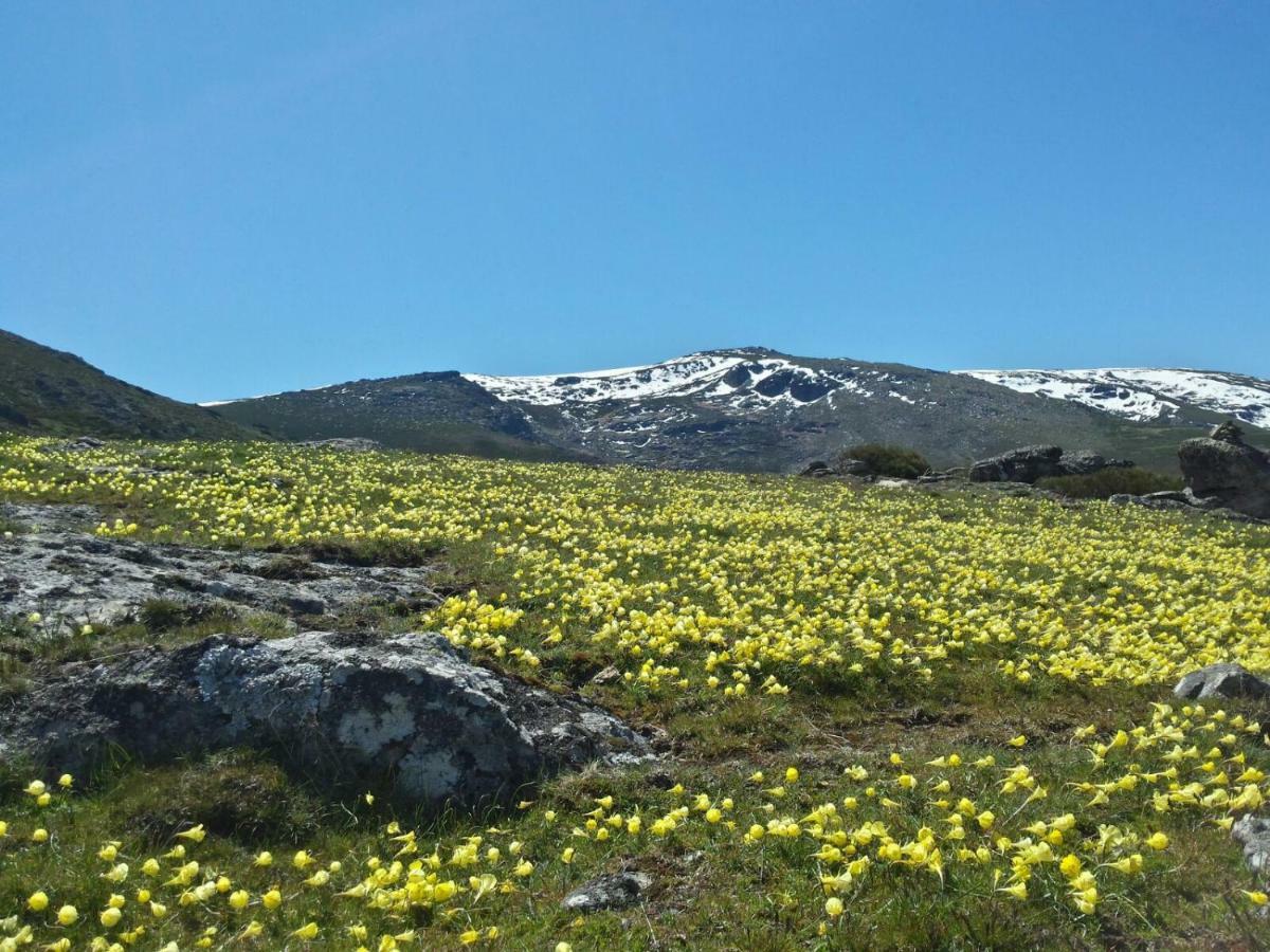 Apartamento Orgaz Candelario Eksteriør billede